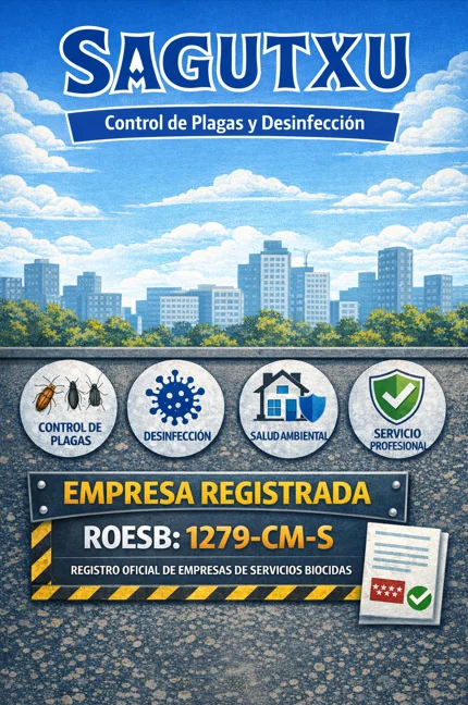 infografía roesb corte